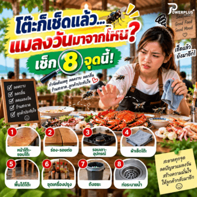 แมลงวันในร้านอาหาร