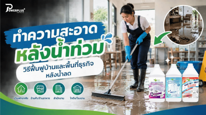 ทำความสะอาดหลังน้ำท่วมด้วยพลัง Green Plus