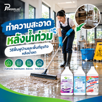 ทำความสะอาดหลังน้ำท่วมด้วยพลัง Green Plus